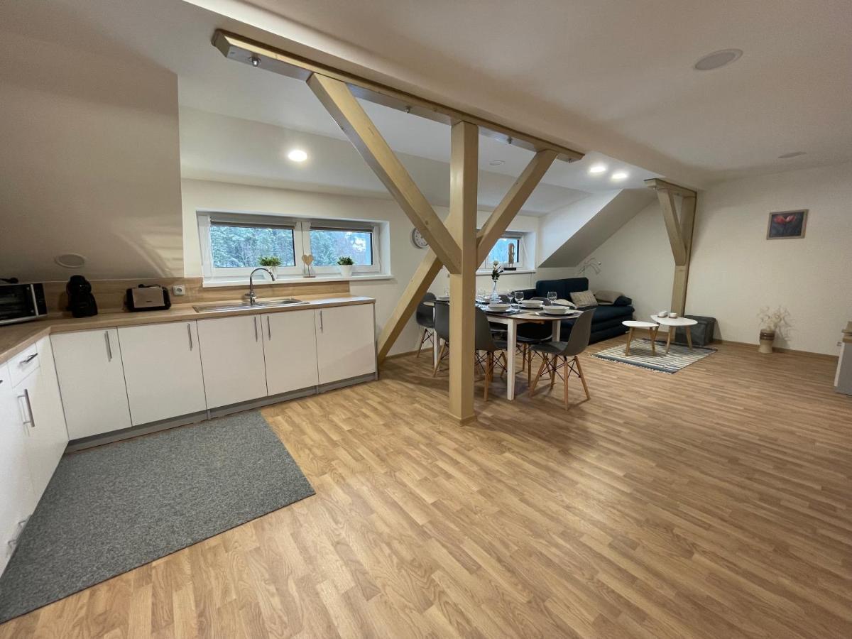 Apartmany Herc Jáchymov Zewnętrze zdjęcie