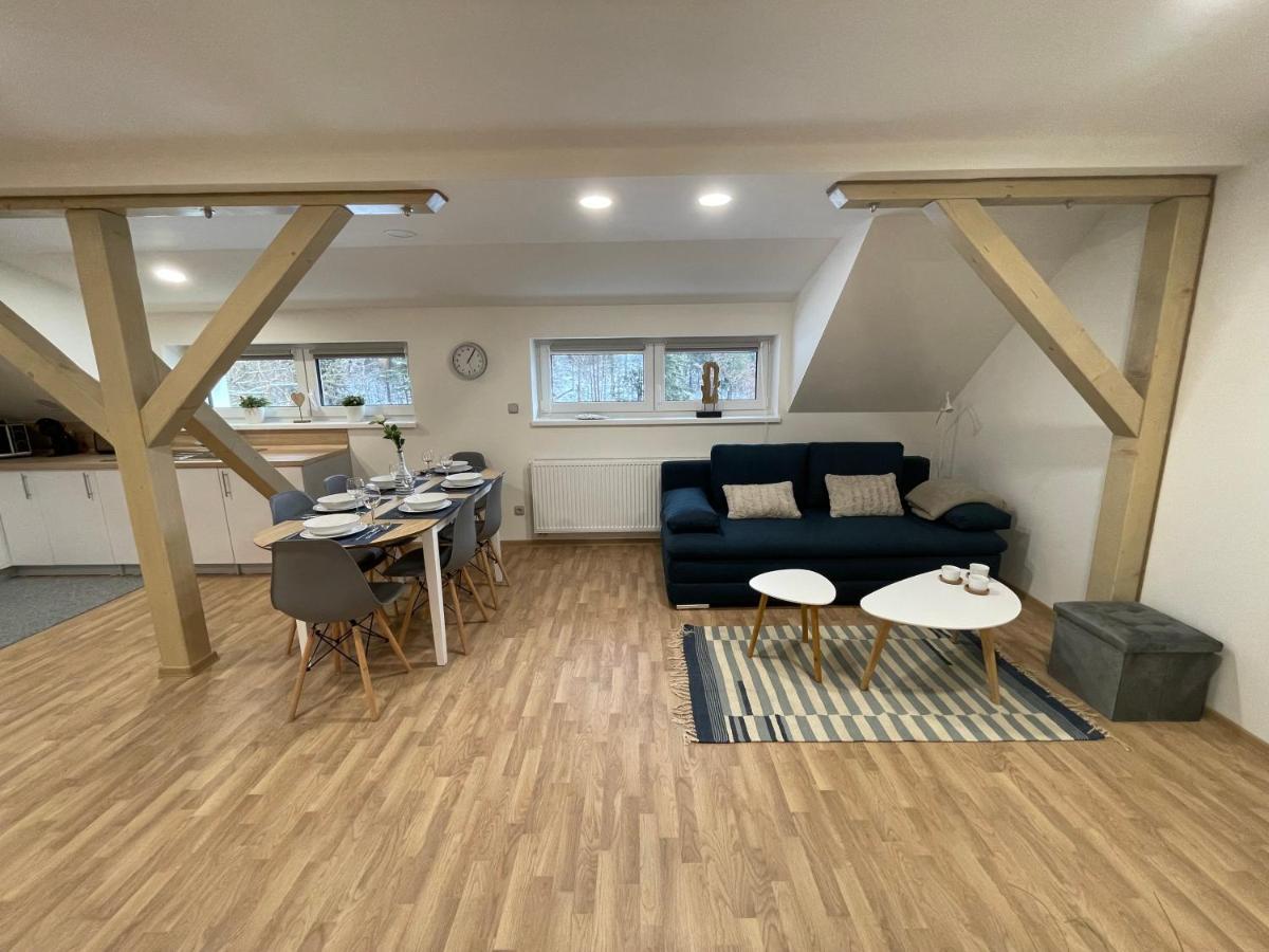 Apartmany Herc Jáchymov Zewnętrze zdjęcie